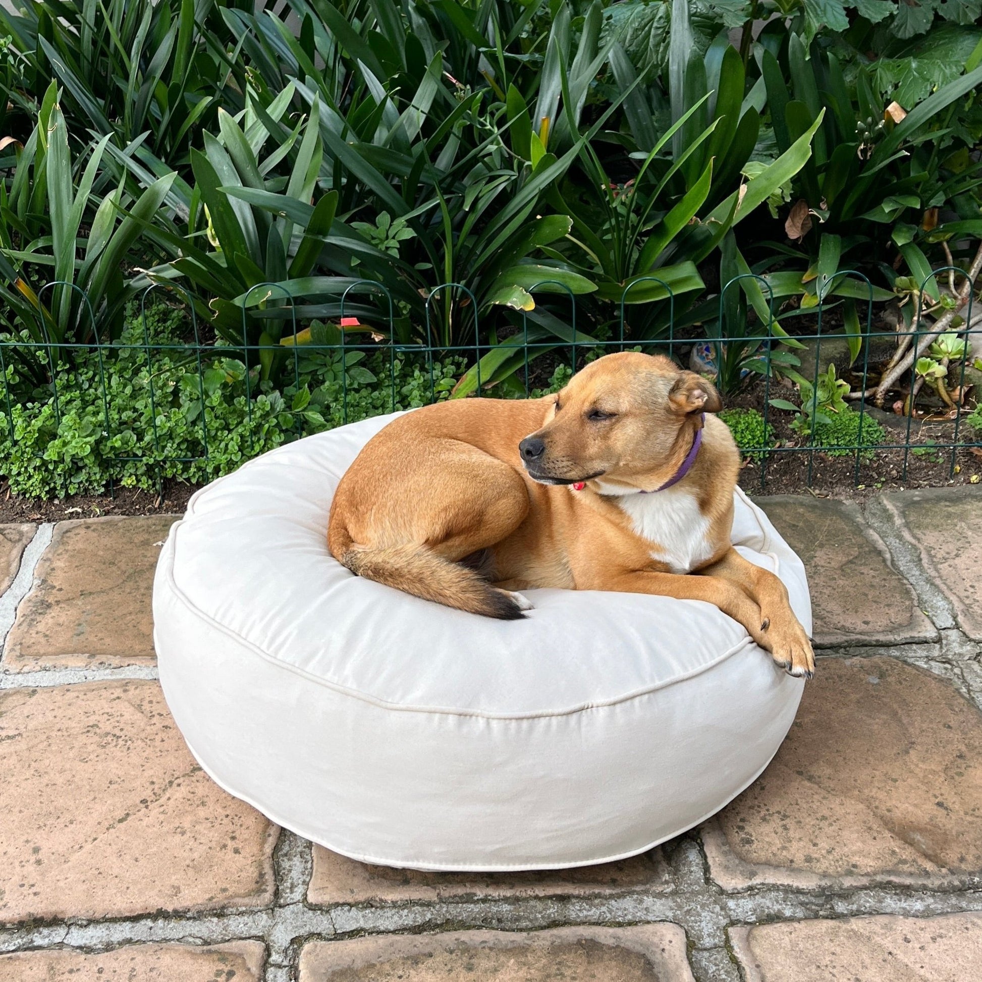 Dog Bed Premium Durable Heavy Duty Soft