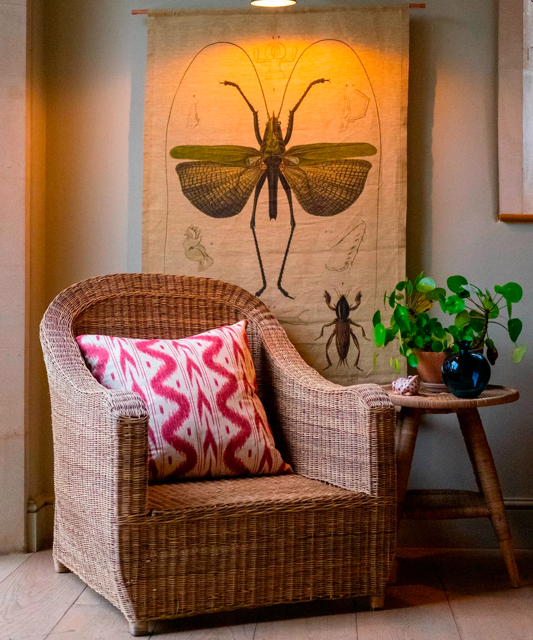 Relaxed one seater cane couch premium