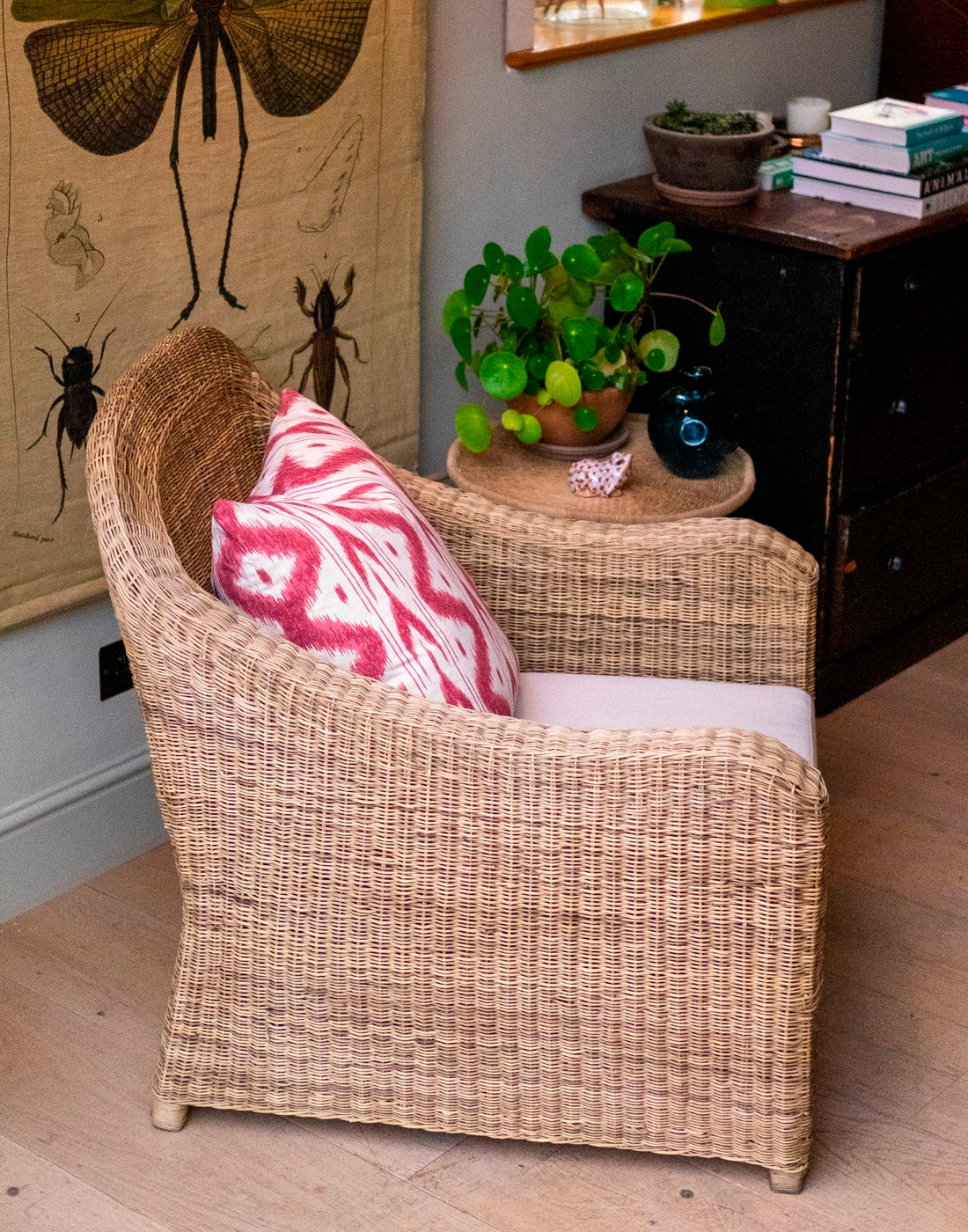 Relaxed one seater cane couch premium