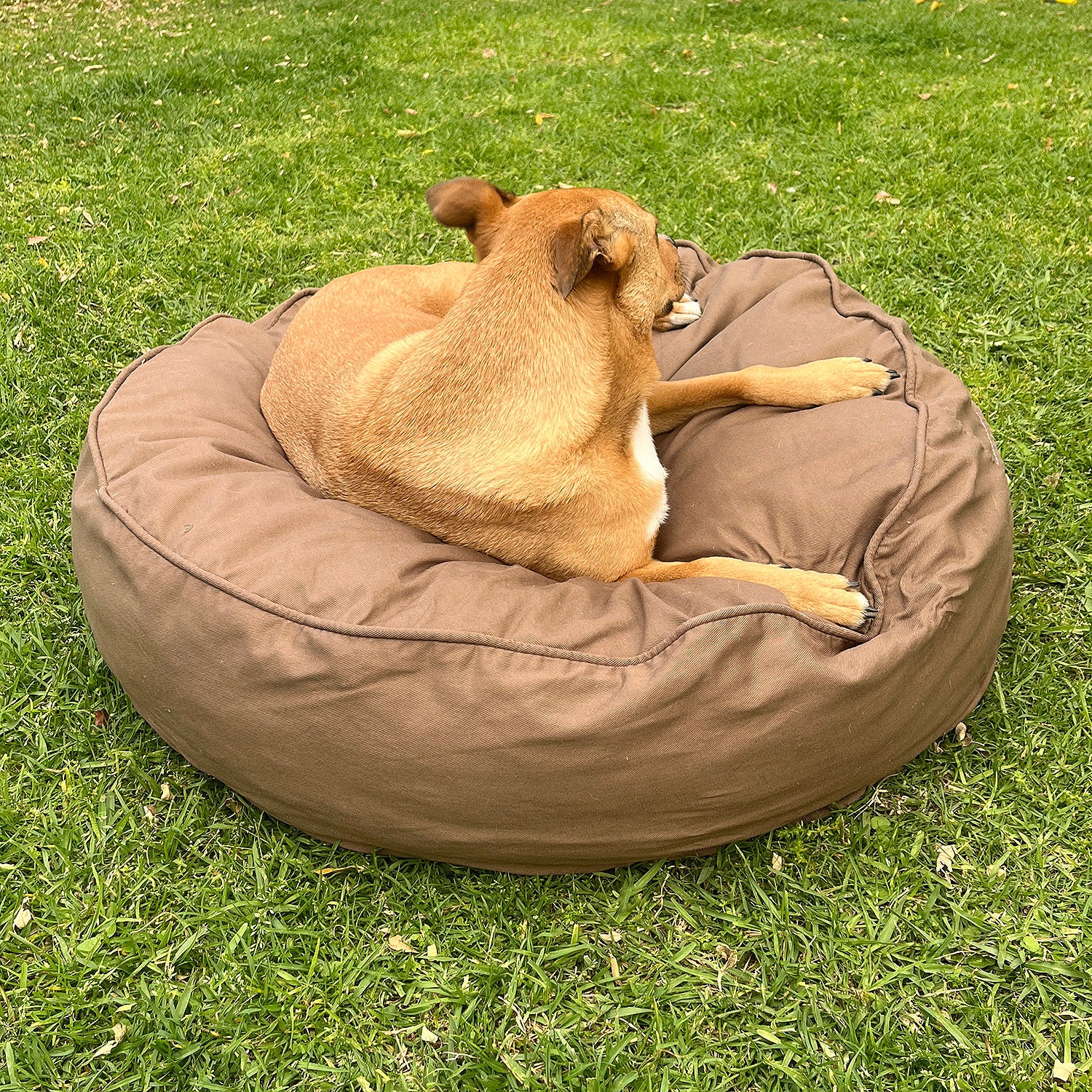 Dog Bed Premium Durable Heavy Duty Soft