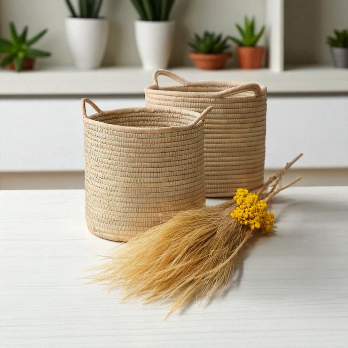 Planter Baskets with handles