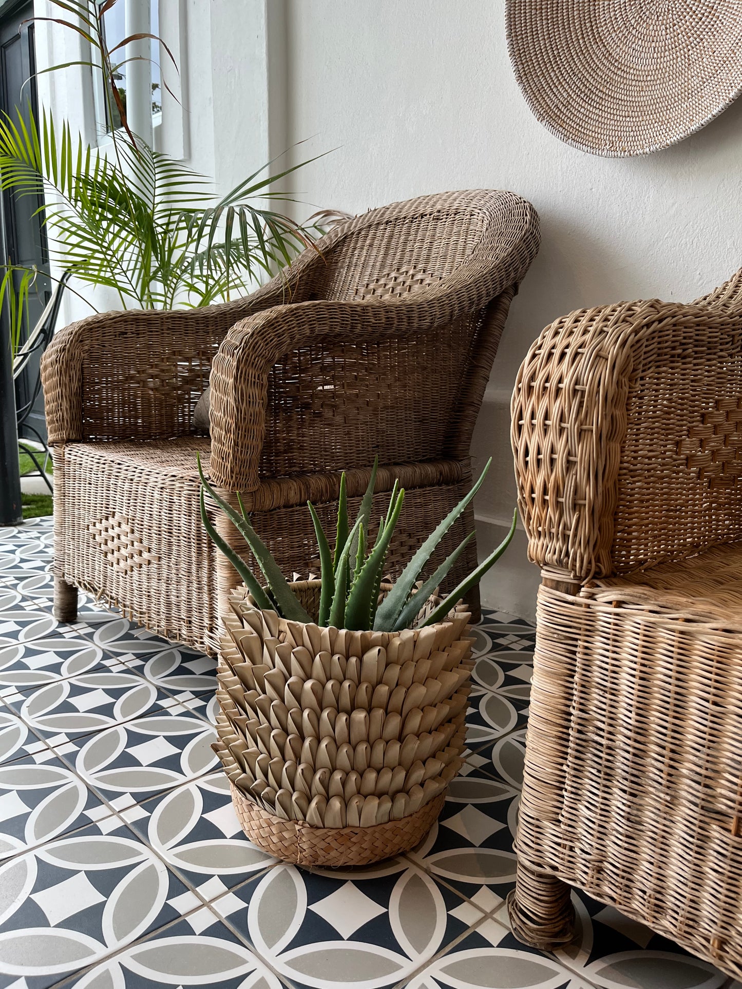 Porcupine Pot Planter Basket