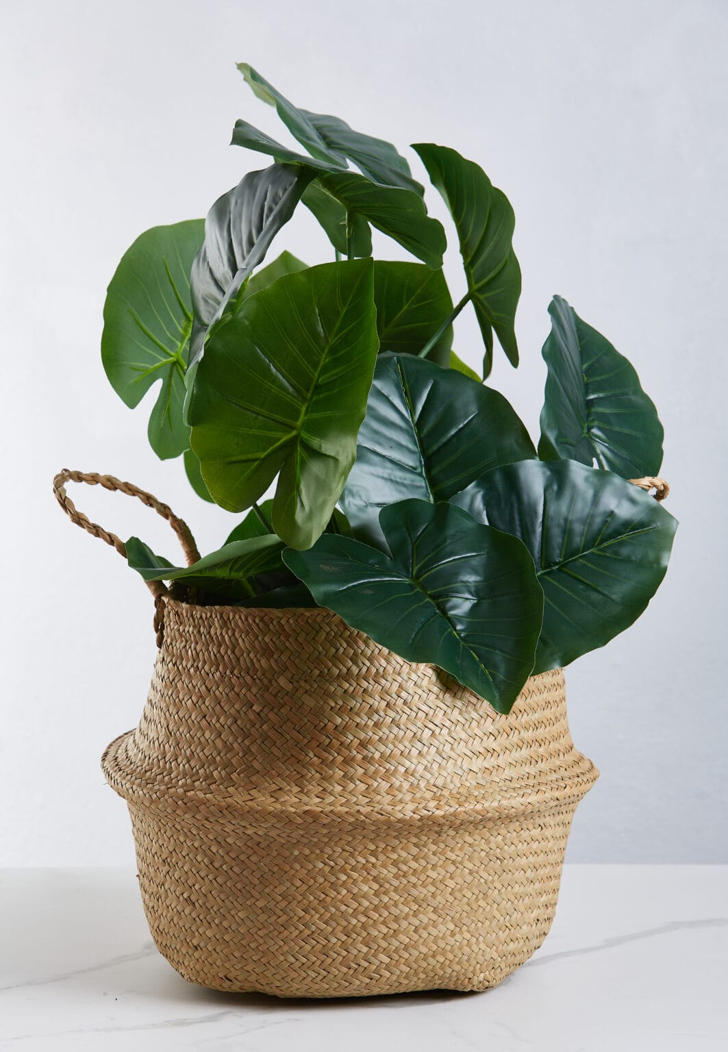 Seagrass Woven Belly Baskets