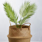 Seagrass Woven Belly Baskets