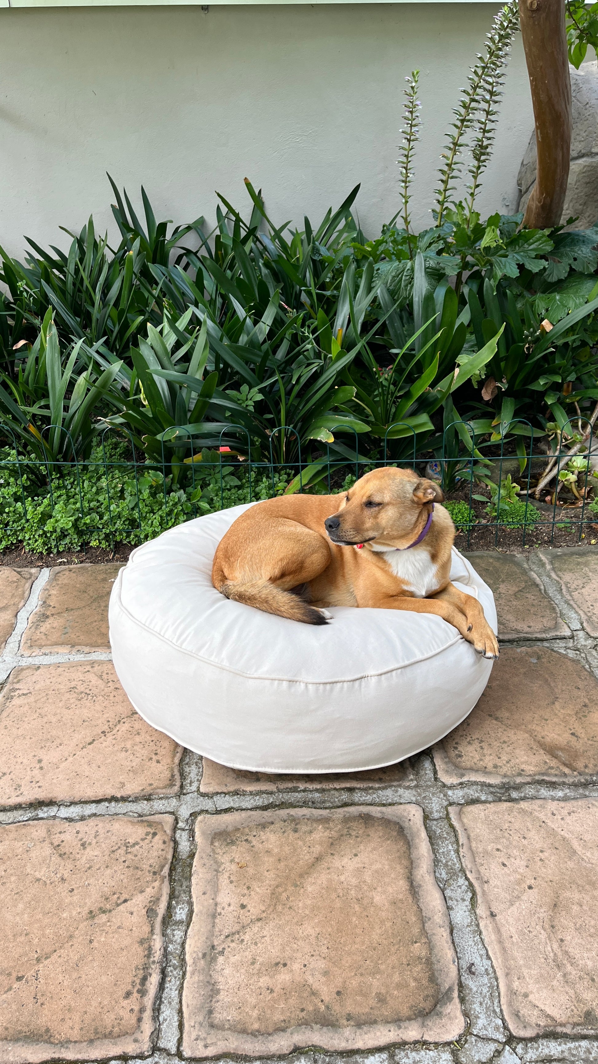 Dog Bed Premium Durable Heavy Duty Soft