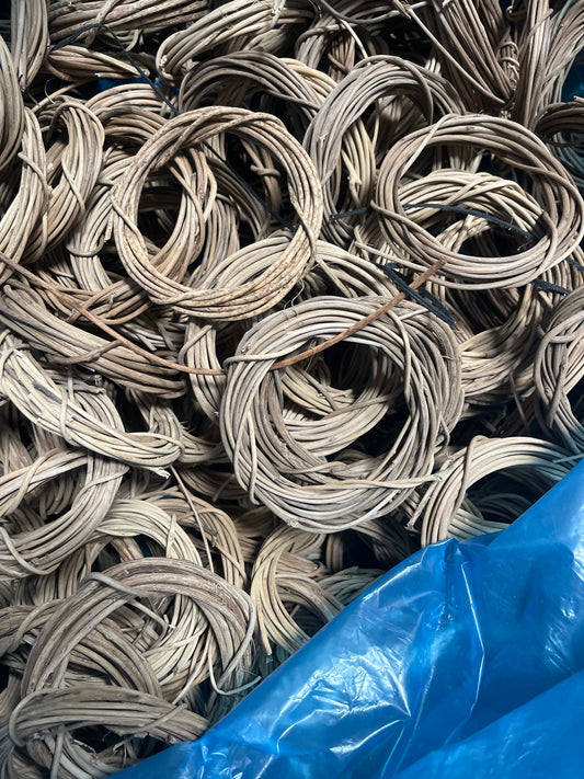 Cane rolls coil large bag