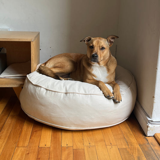 Dog Bed Premium Durable Heavy Duty Soft