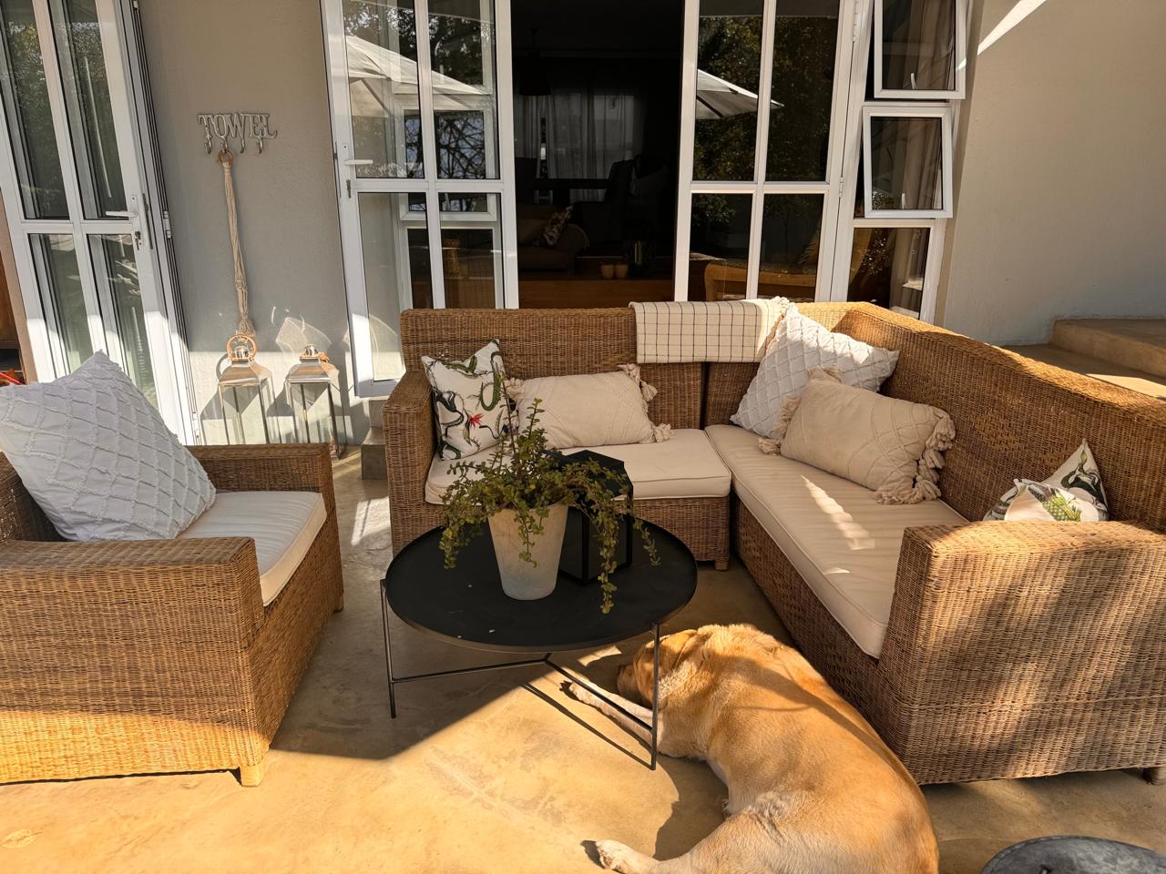 BOX One Seater Malawi Couch - Cushion