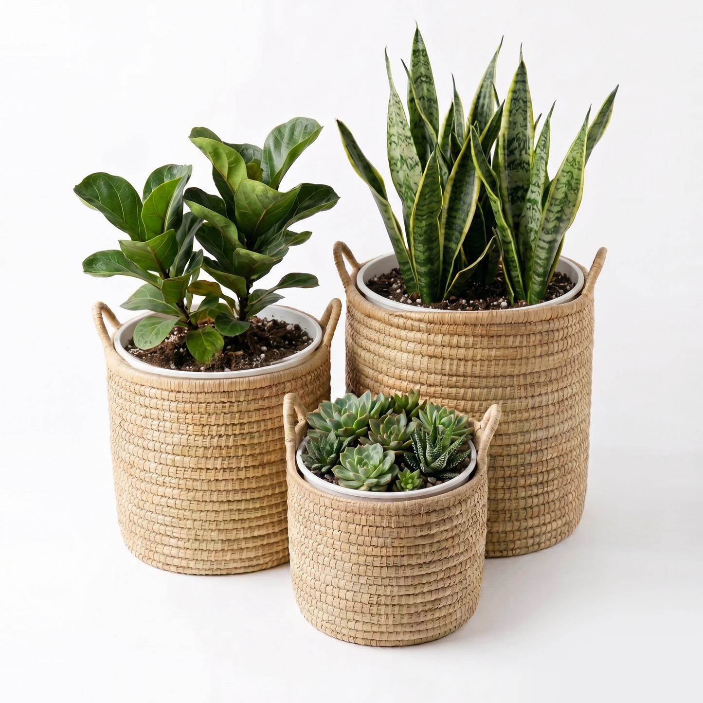 Planter Baskets with handles