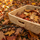 Cane Tray Baskets (Rectangular)