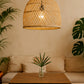 Malawi Cane Dome Pendant Single Over Cafe Table