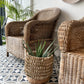 Franschhoek Guest Lodge - Handwoven cane Malawi Classic Chairs with Porcupine Planter Pot. This artisan-crafted set creates a natural, sophisticated focal point on the patio. Shop these unique, authentic pieces from Malawi Furniture.