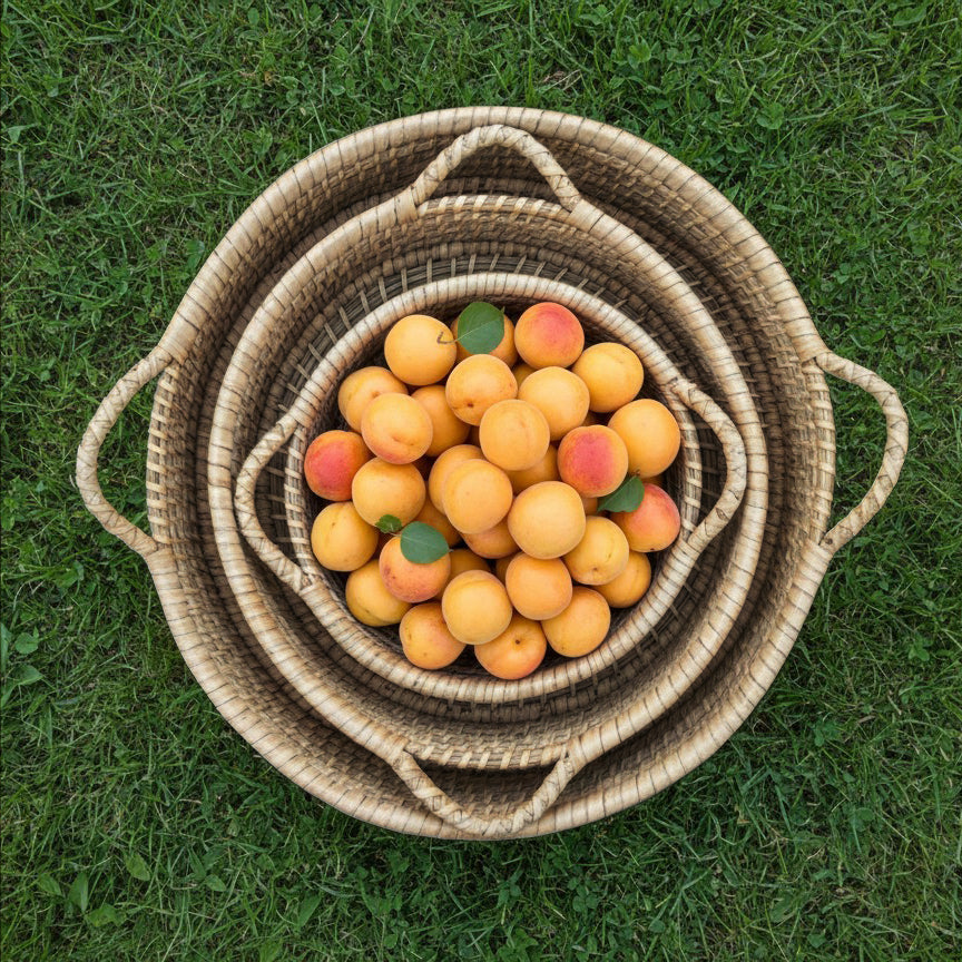 Karula Cane Trays with handles