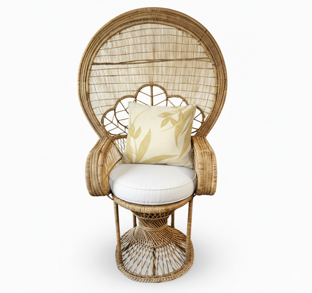 Malawi Furniture - Peacock Chair - Front Raise view - with Woolworths scatter cushion