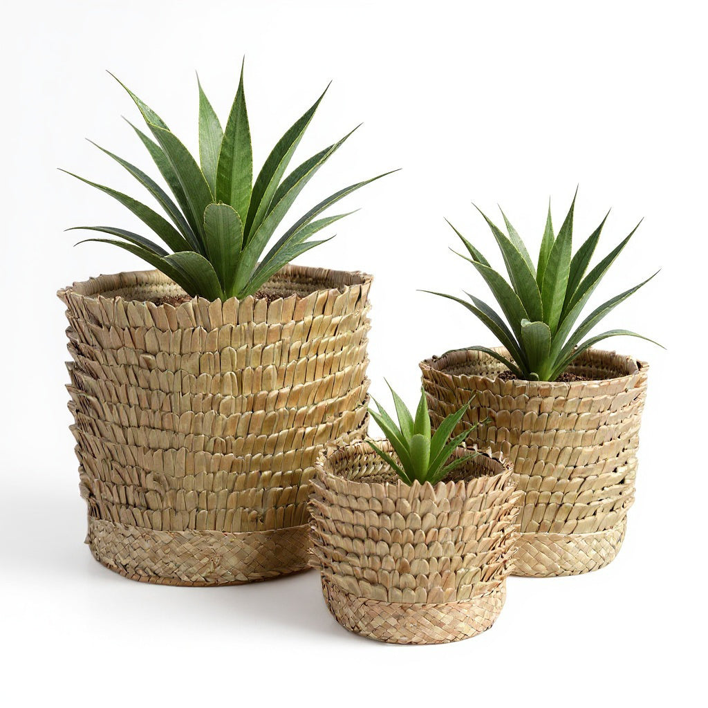 Malawi Furniture - Porcupine Basket with plant