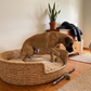 Pet Basket Bed (Round) made from Ilala Grass