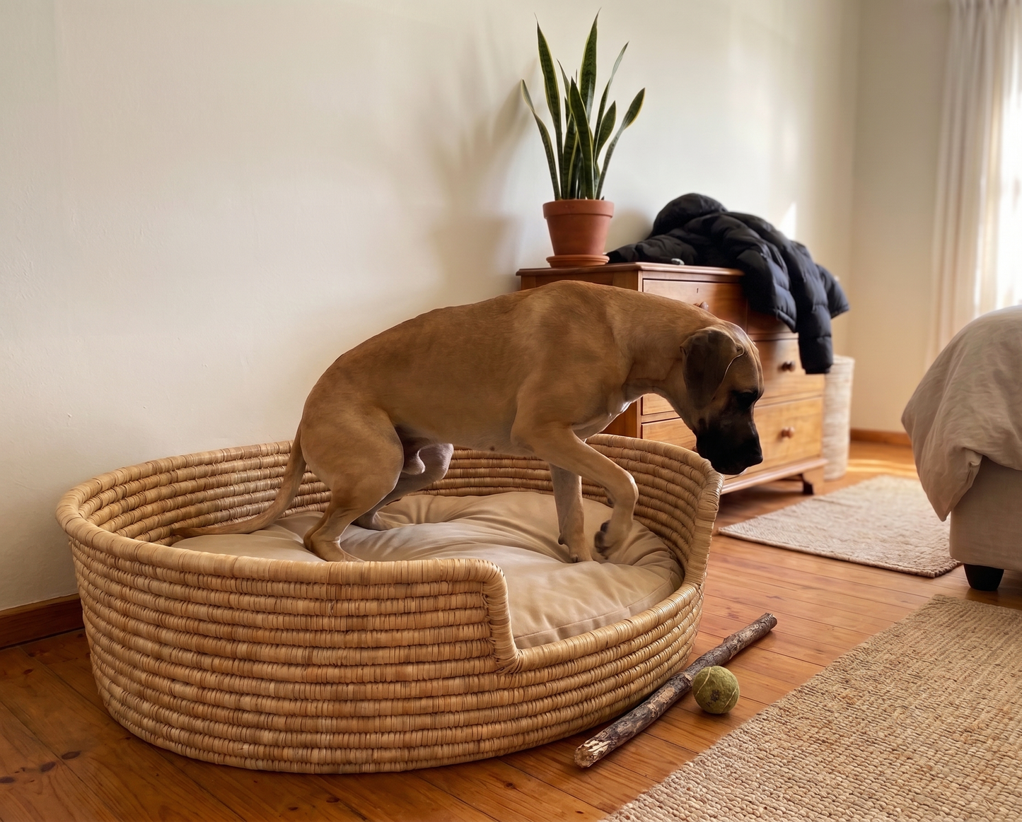 Pet Basket Bed (Round) made from Ilala Grass