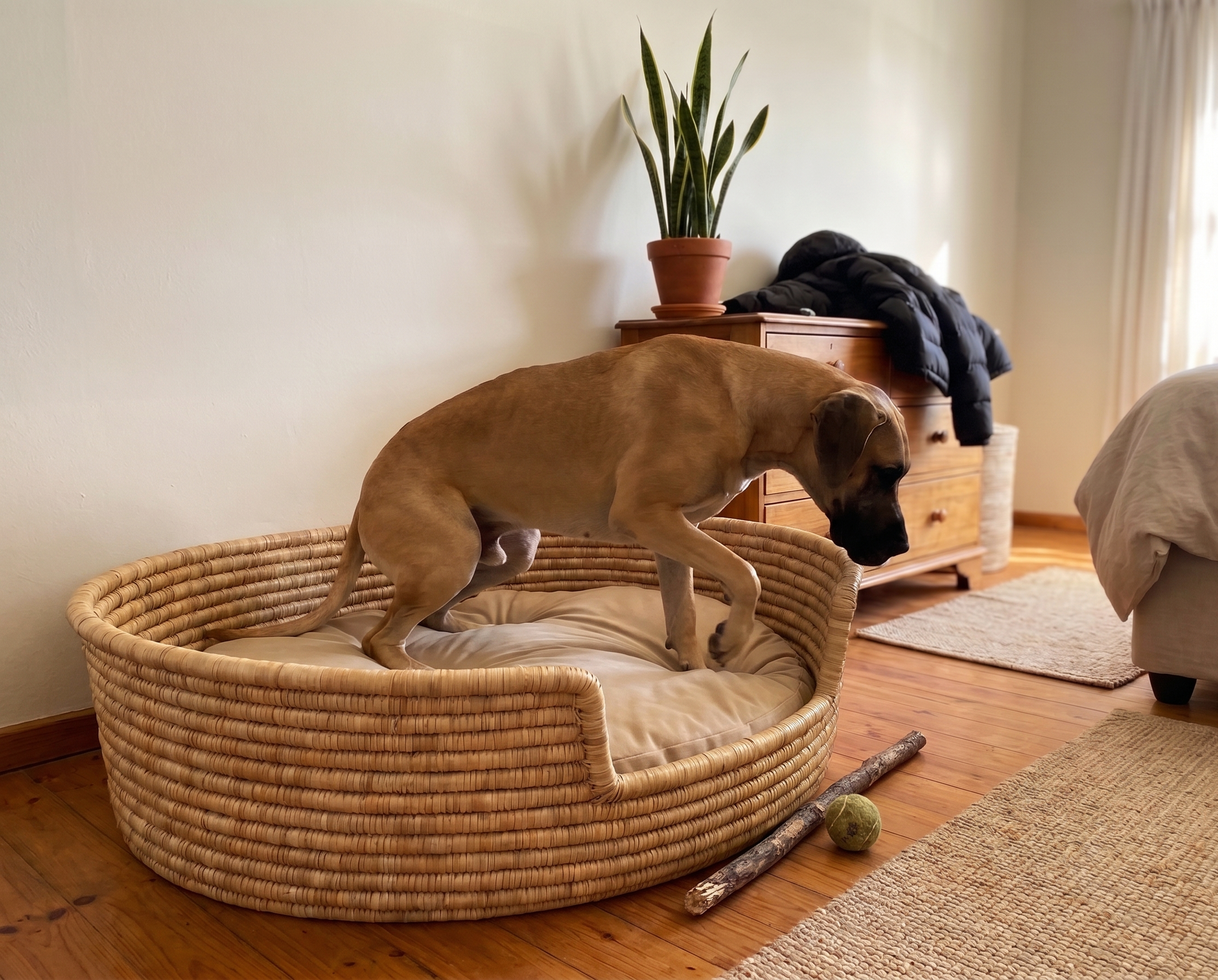 Pet Basket Bed (Round) made from Ilala Grass – Malawi Furniture