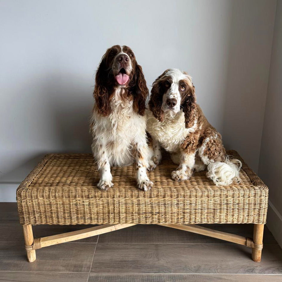 Classic Rectangular Bench