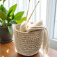 Porcupine Pot Planter Accessory Decor Basket