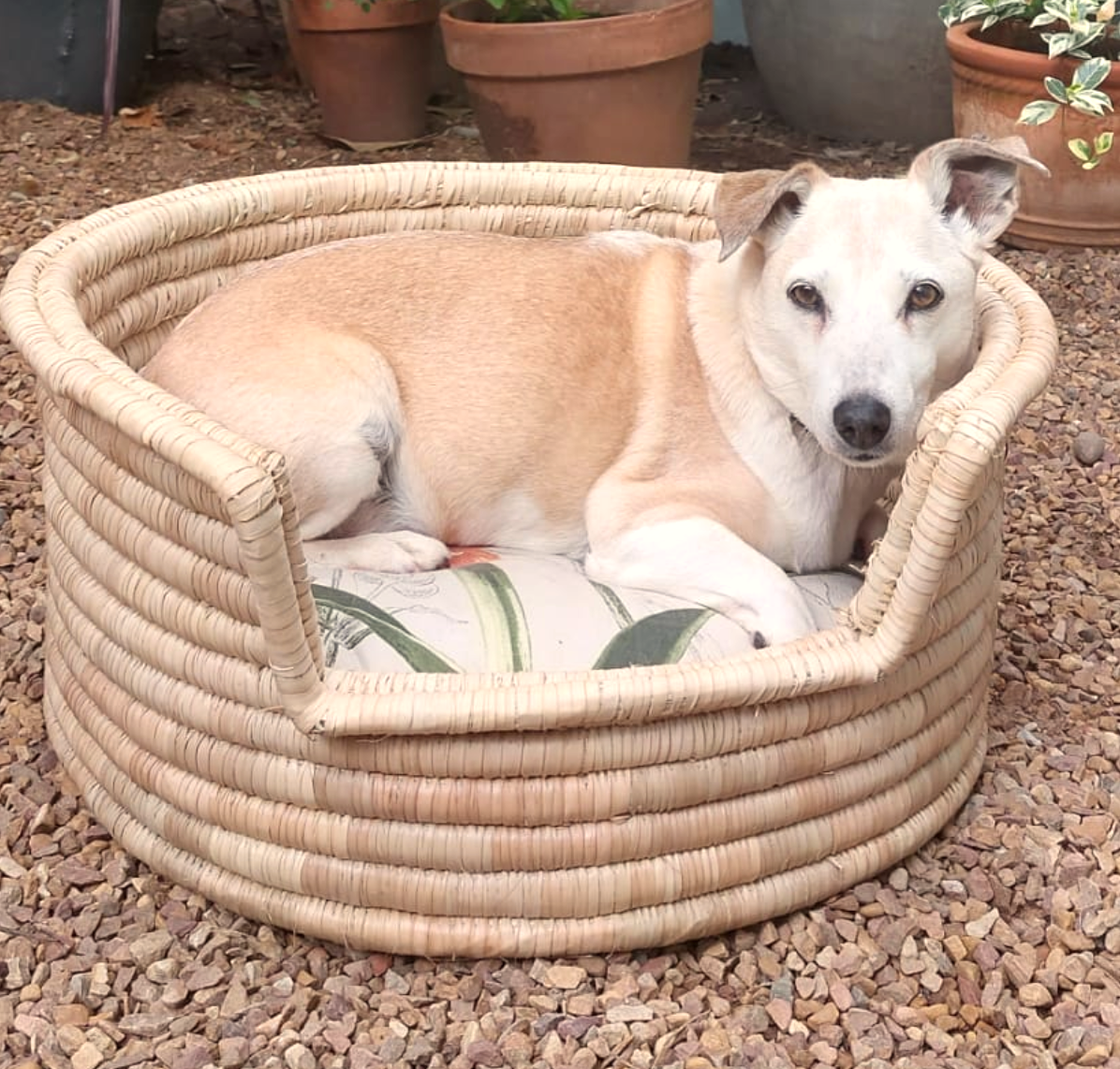 Pet Basket made from Malawi Cane dog cat warm cushion durable